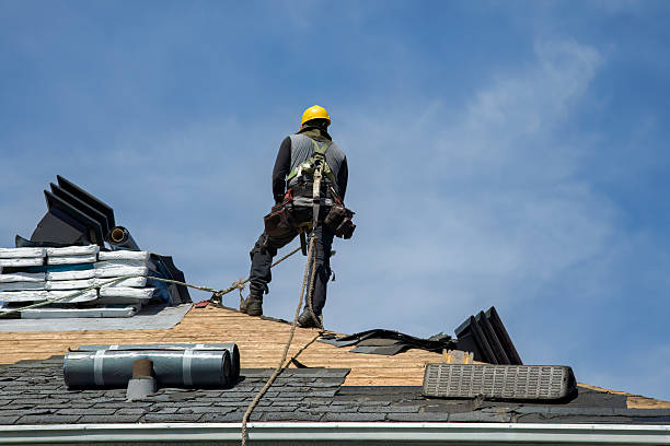 Professional Roofing technician working in Lena, WI